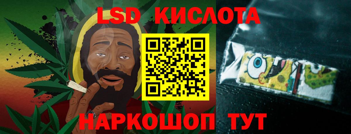 Бошки Шишки Назрань